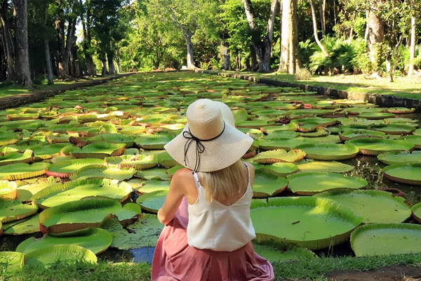 Pamplemousse Garden Mauritius