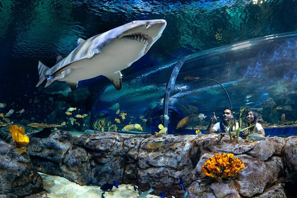 Mauritius Aquarium