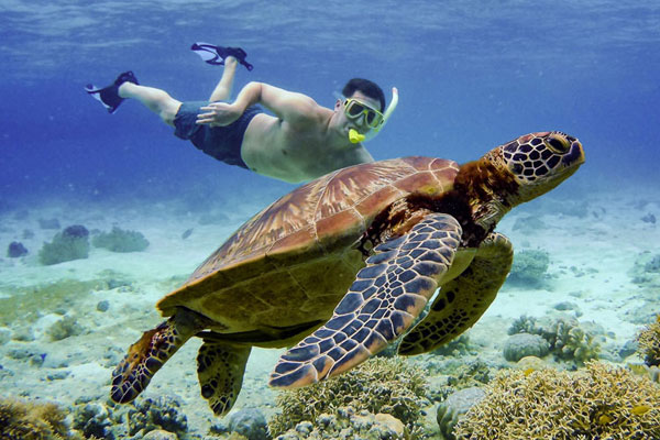 Snorkeling in Mauritius | Explore Coral Reefs & Marine Life